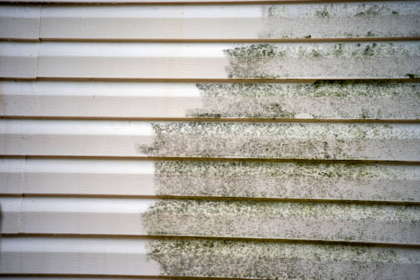 Lexington, NE Siding Installation & Repair Company