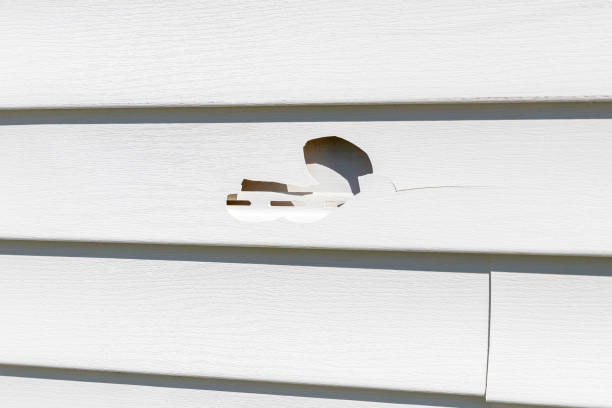 Best Steel Siding Installation  in Lexington, NE